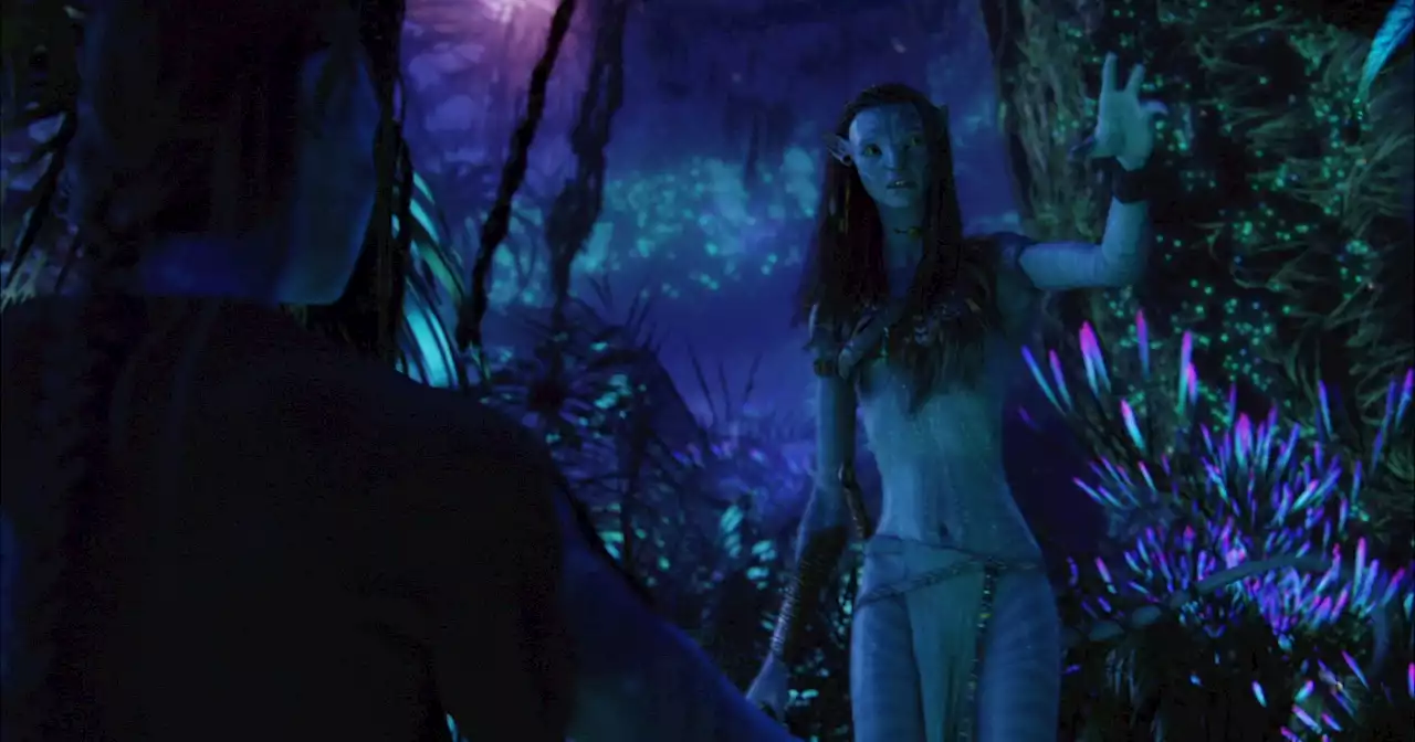 Avatar 5 Plot Details Tease Return to Earth