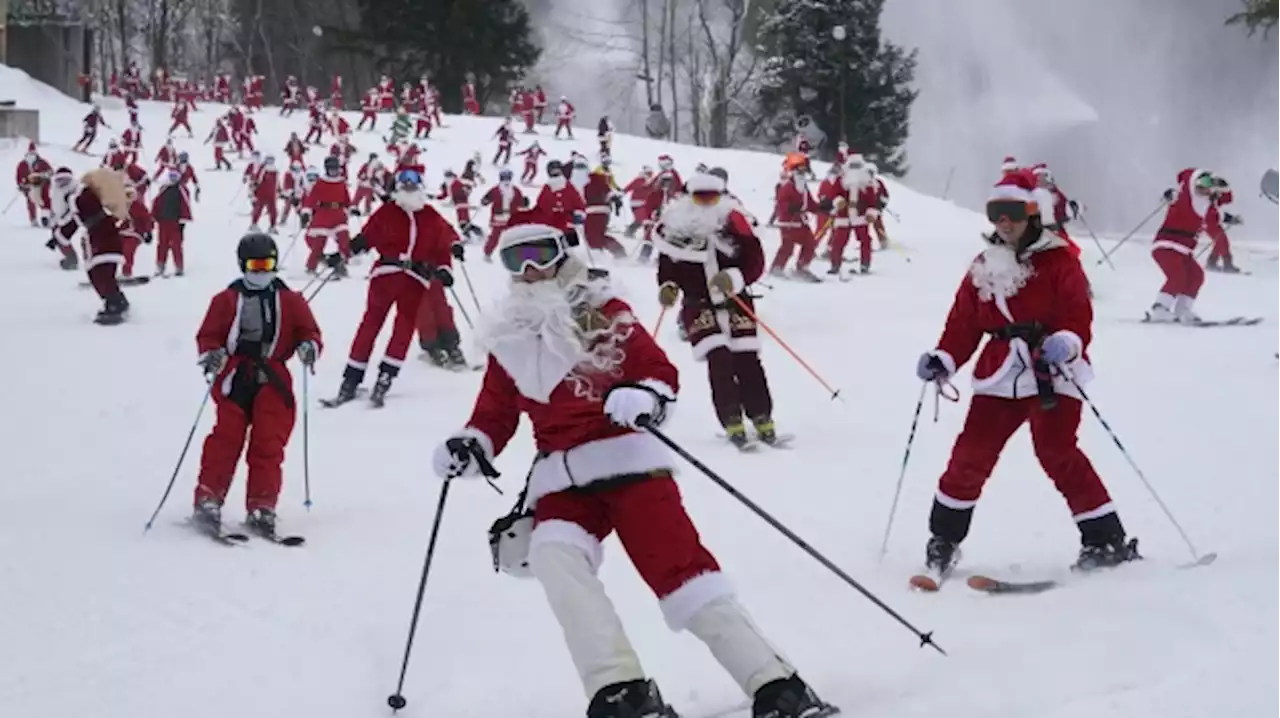 It’s all downhill for 300 skiing Santas, a Grinch and a tree