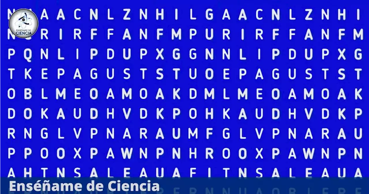 Localiza la palabra “BÚFALO” en el reto visual ¿Serás capaz de conseguir el mejor tiempo?