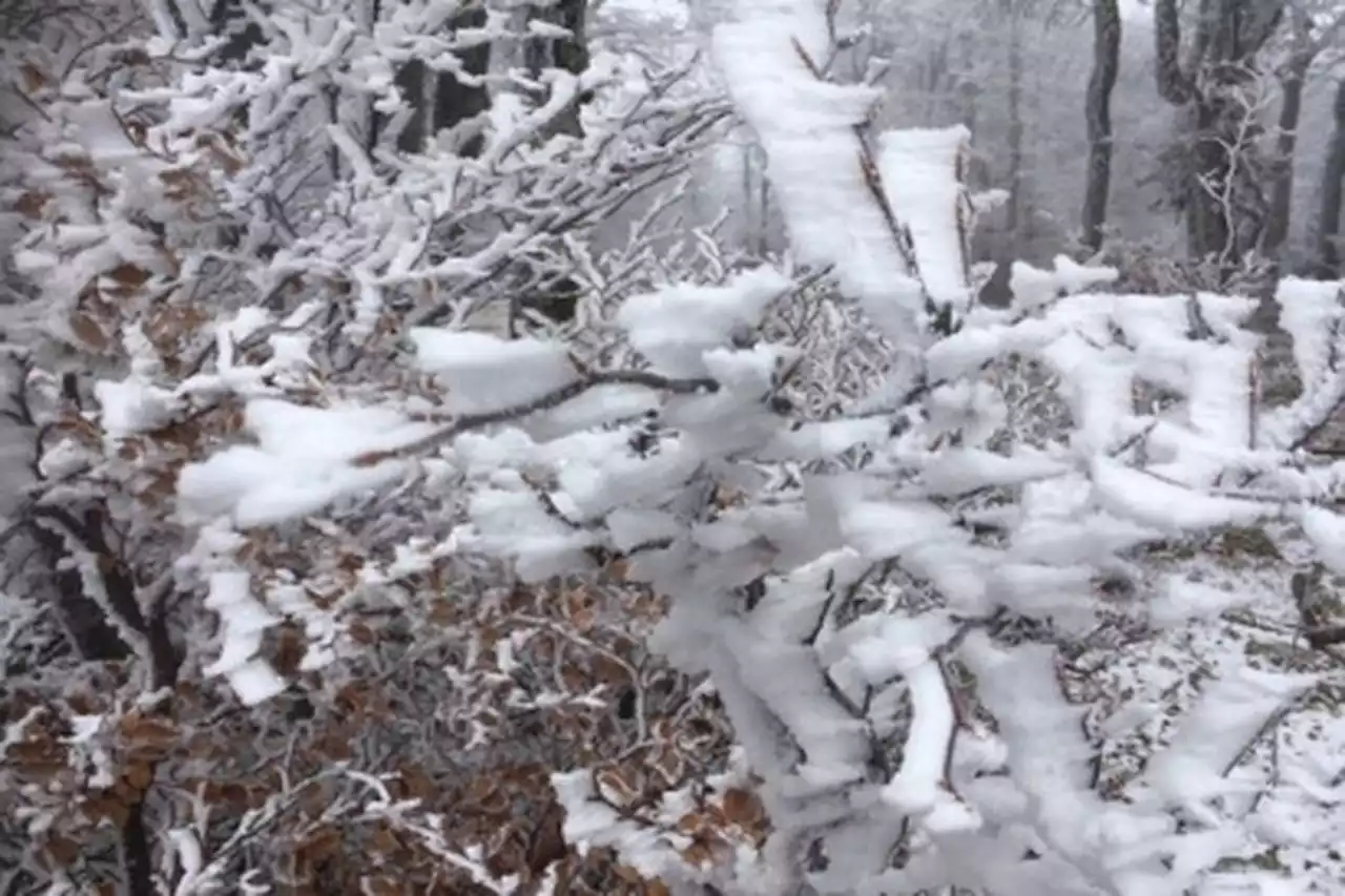 Grand froid : vigilance jaune déclenchée en Lozère