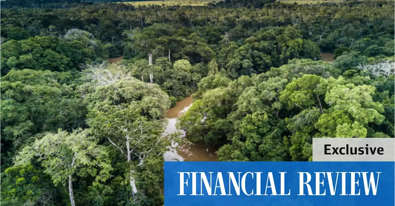 AVZ hides dispute over title to vast lithium resource in Congo