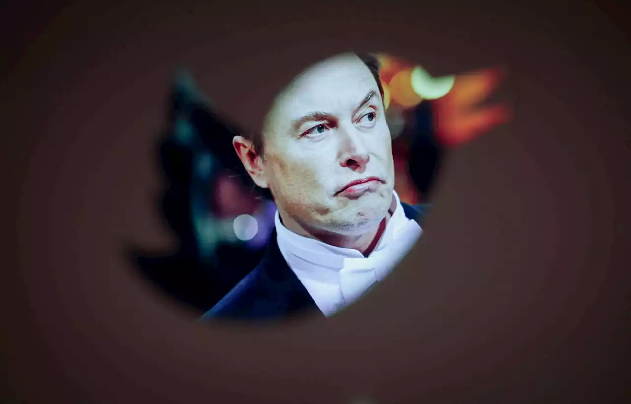 Elon Musk Tweets ‘My Pronouns Are Prosecute/Fauci,’ Here’s The Response