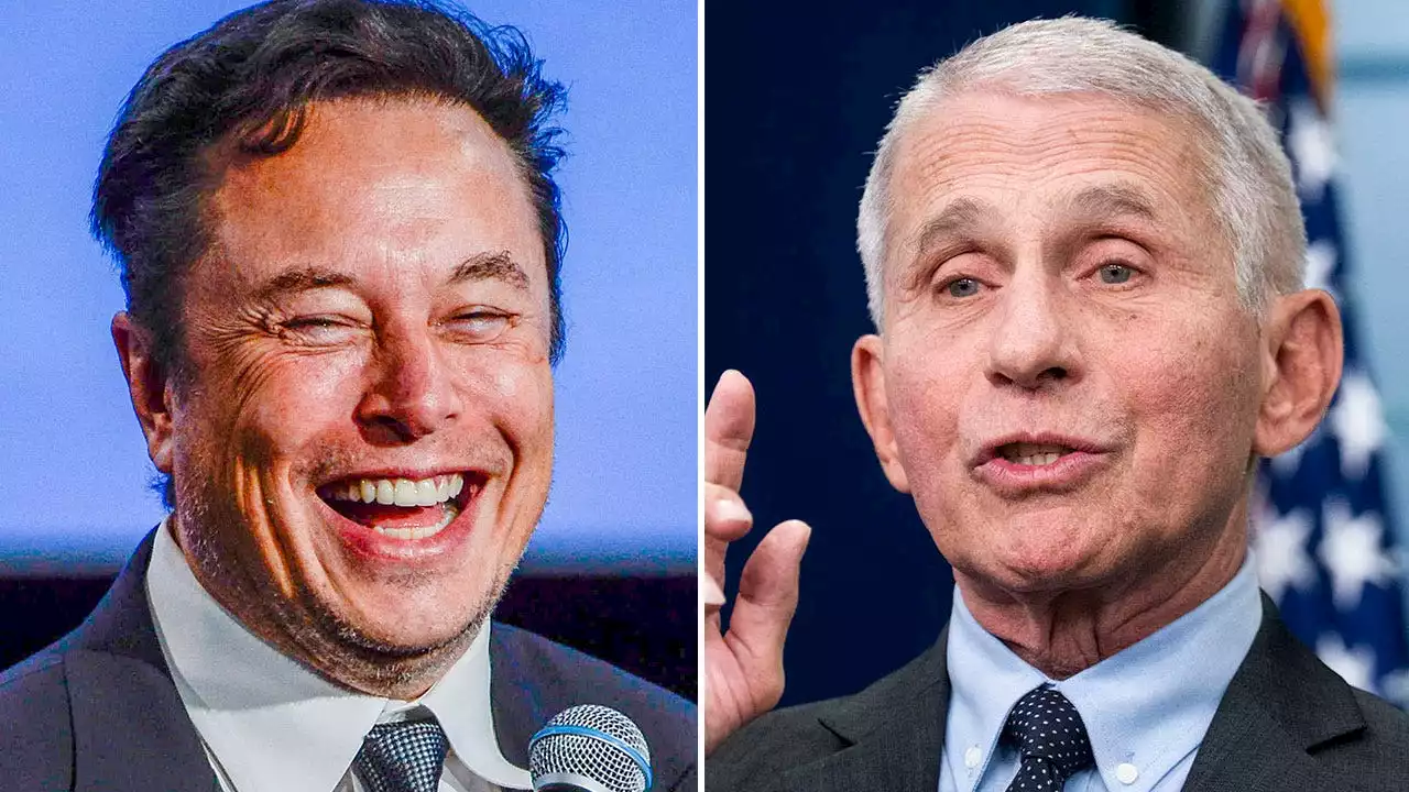 Elon Musk tweets that his pronouns are 'Prosecute/Fauci'