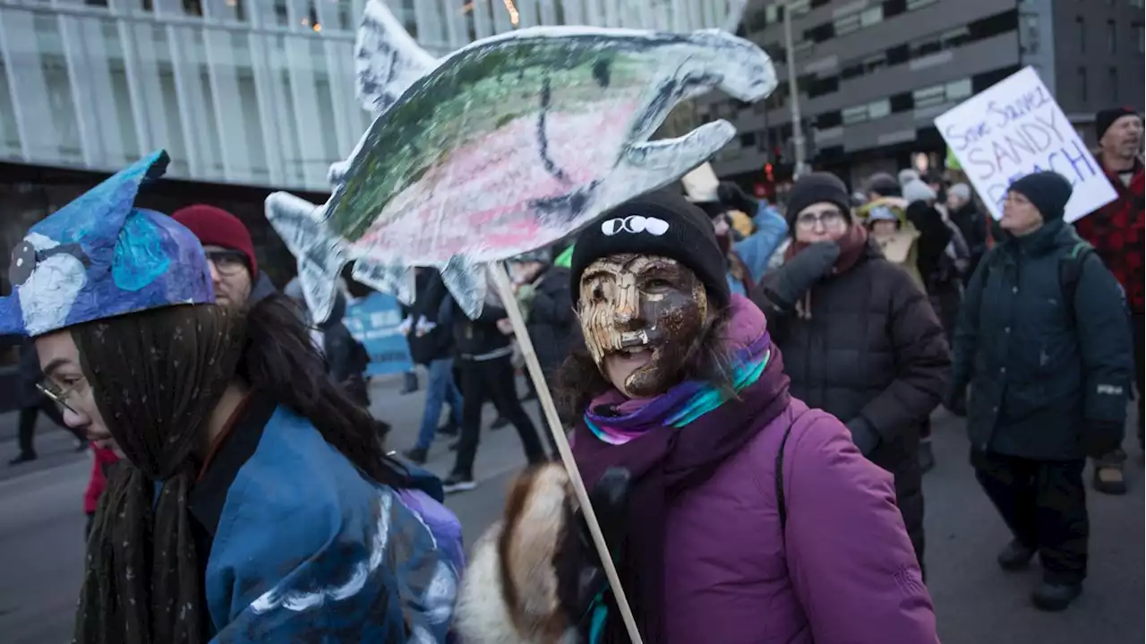 COP15 biodiversité : déguisés en arbre ou en oiseau, des manifestants descendent dans la rue à Montréal