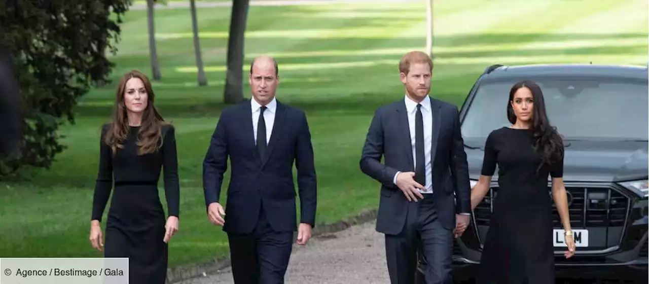 Harry, Meghan, William et Kate : malgré leur brouille, cette jolie tradition qu’ils perpétuent - Gala