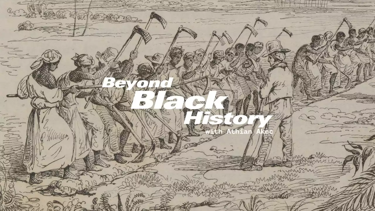 The Haitian Revolution: Tracing a lineage of Black resistance