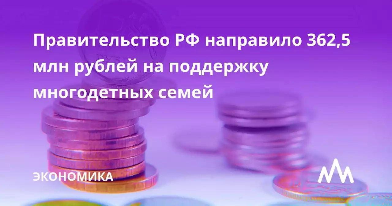 Правительство РФ направило 362,5 млн рублей на поддержку многодетных семей