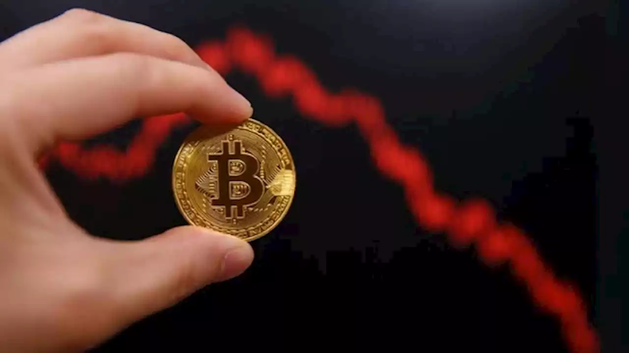 Caer hasta u$s 5.000: el pronóstico sombrío de bitcoin para 2023