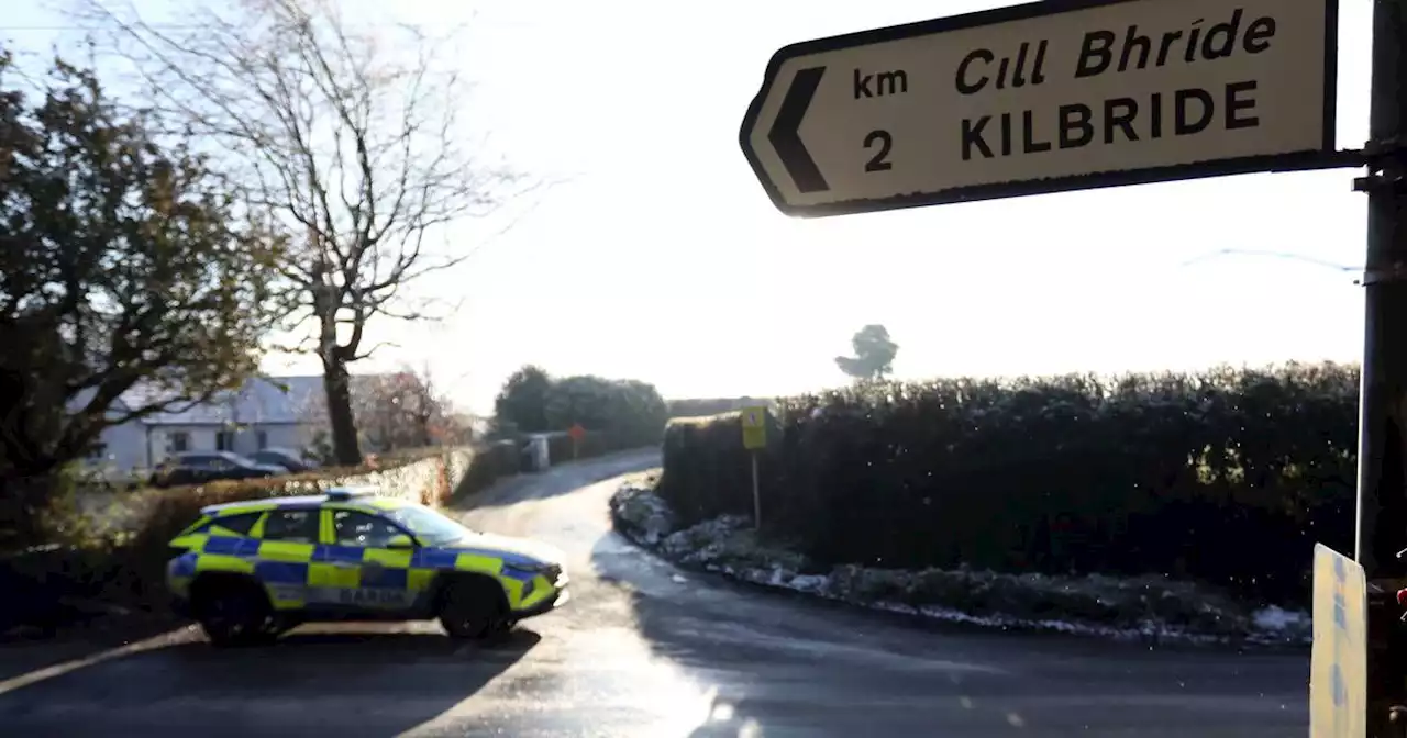 Man whose body was found in Co Meath field appears to have died violently