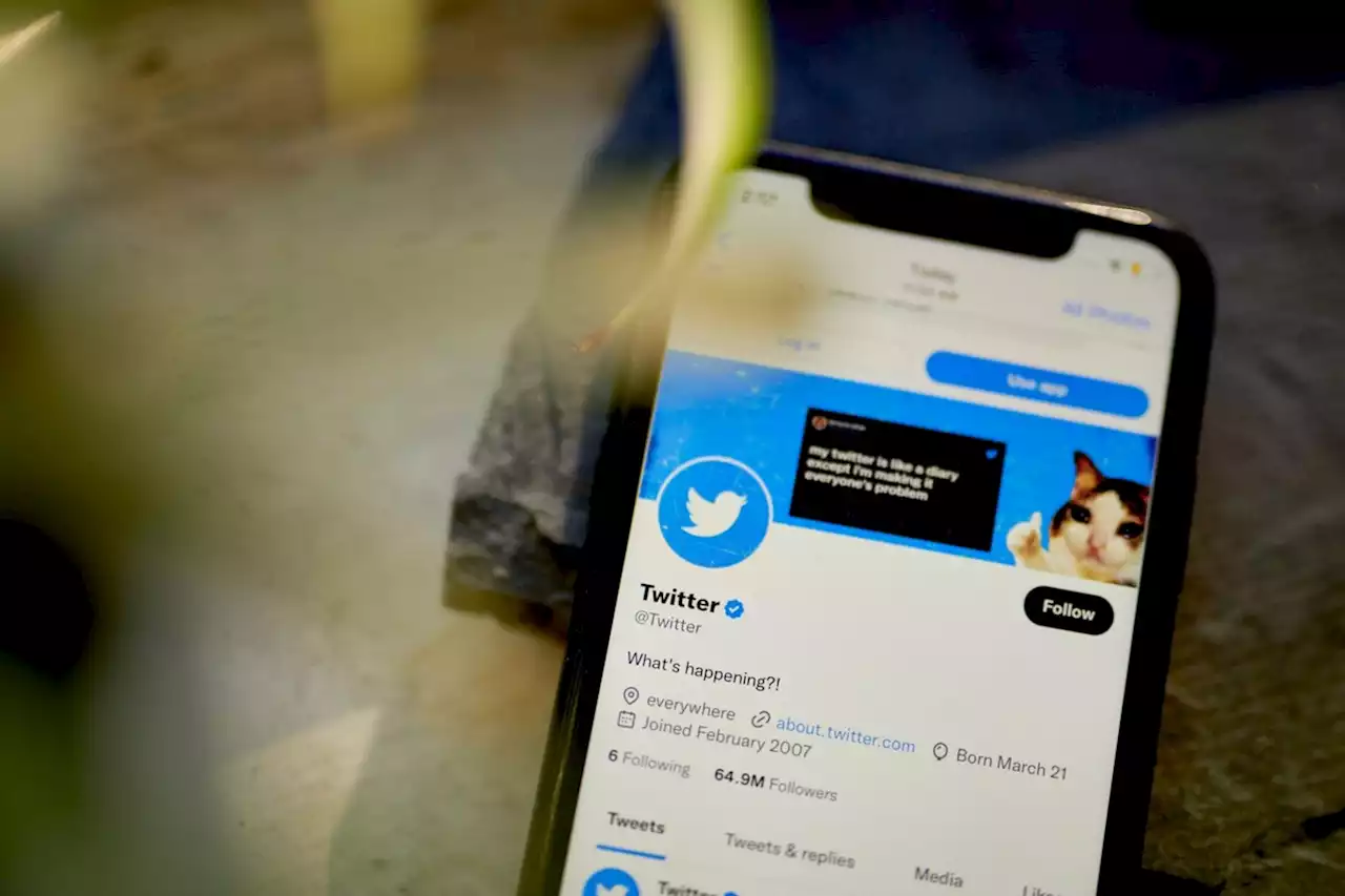 Twitter relança programa de assinatura, e usuários do iPhone vão pagar mais caro