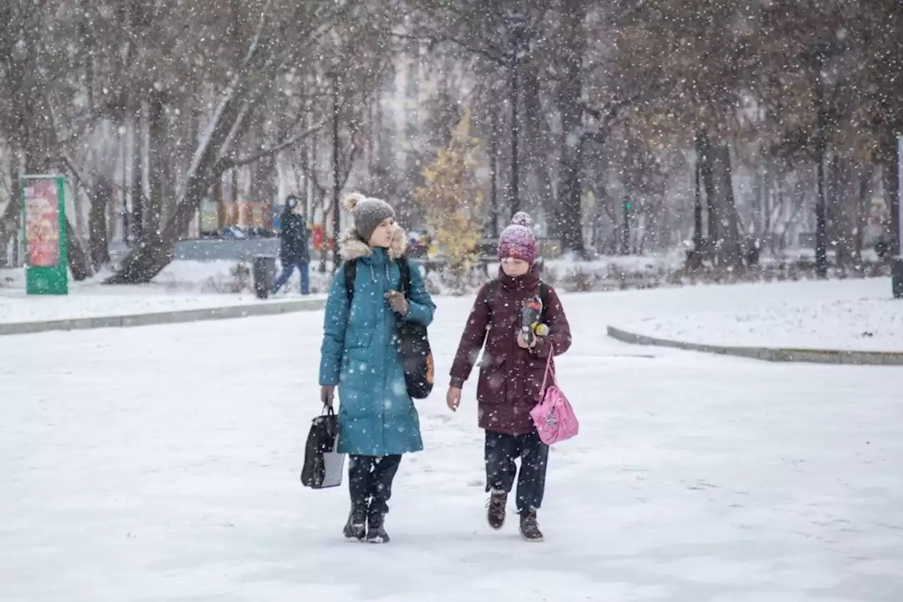 За сутки 10 декабря 2022 года в Москве выпало более 20% месячной нормы осадков