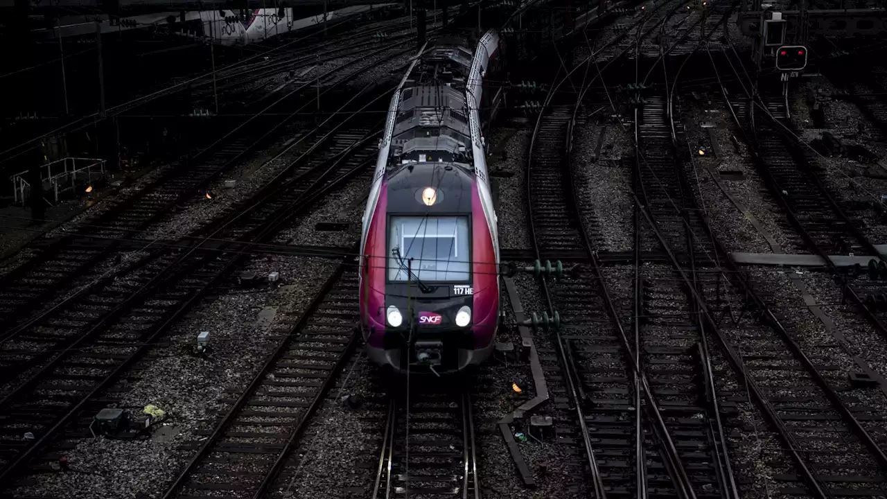 Cette grande ville inaugure le premier RER hors Île-de-France