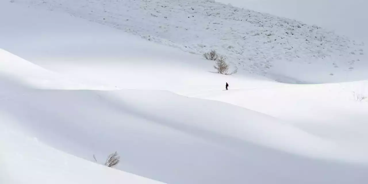 Alpes : un skieur pris dans une avalanche retrouvé mort