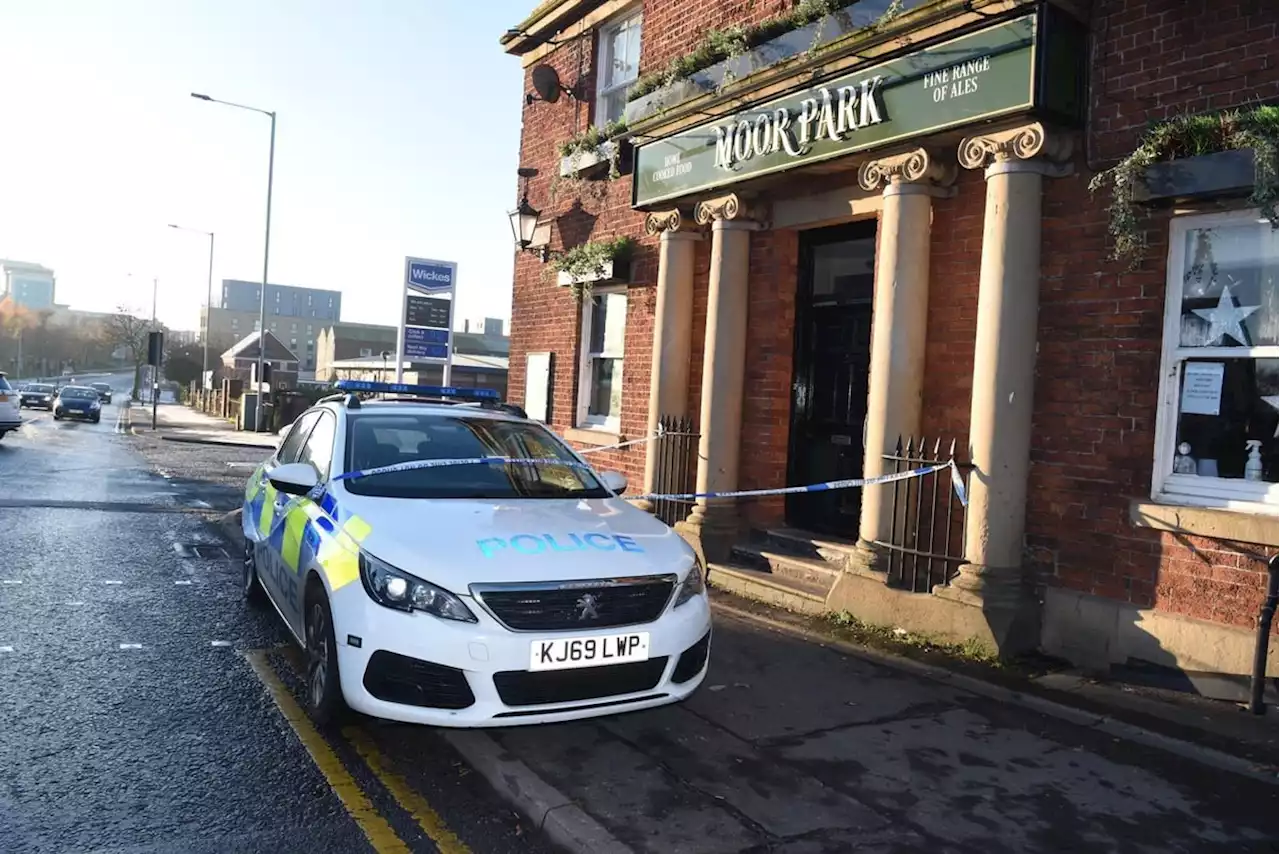 Woman believed to be victim of assault after she was found unconscious outside pub