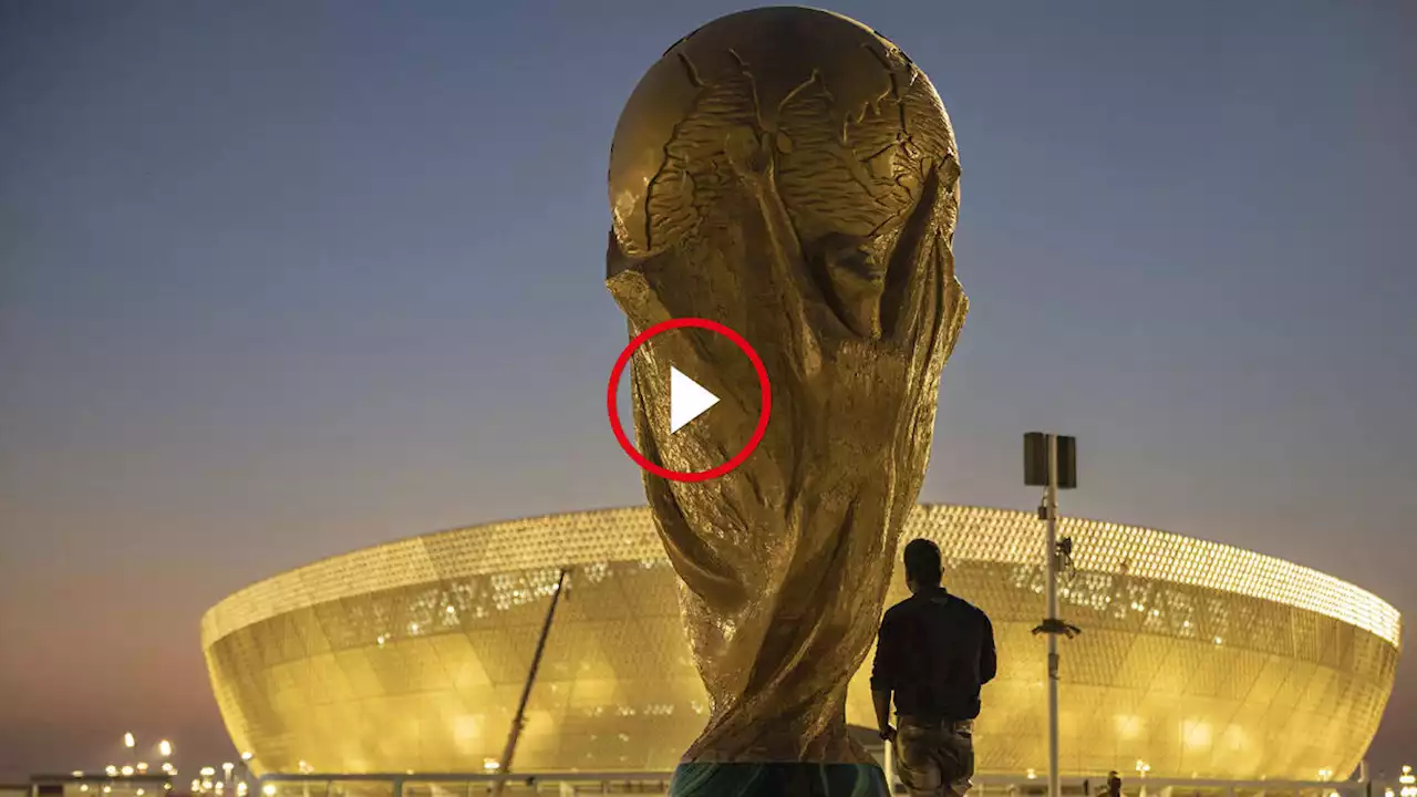 Coupe du monde : à quoi ressemble le quotidien des envoyés spéciaux de Libé au Qatar ?