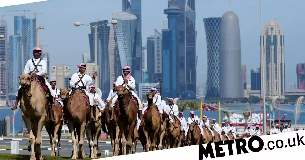 Doctors warned about England fans with camel flu