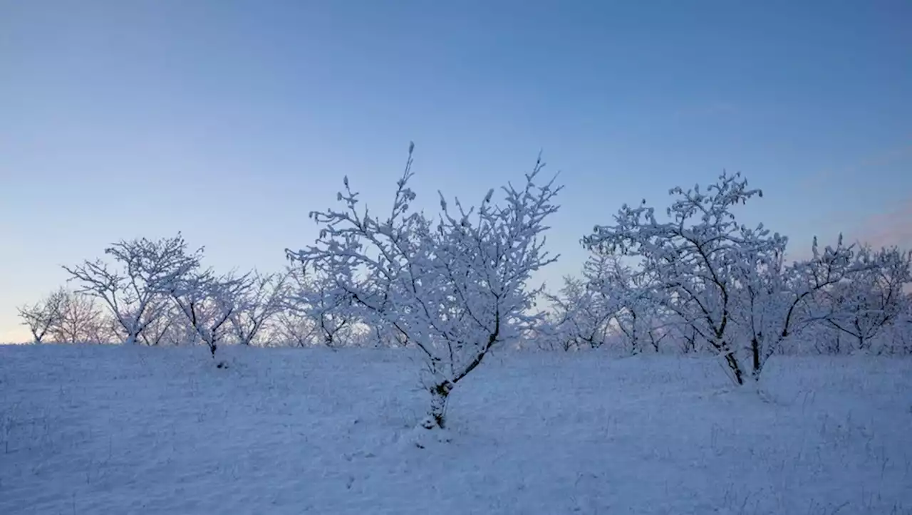 Météo : de la neige à prévoir ce lundi dans les plaines du Gard et de l'Hérault ?