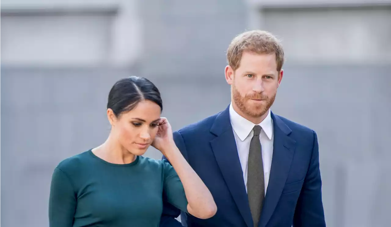 Harry and Meghan series 'not designed for Irish audiences' and skeptics