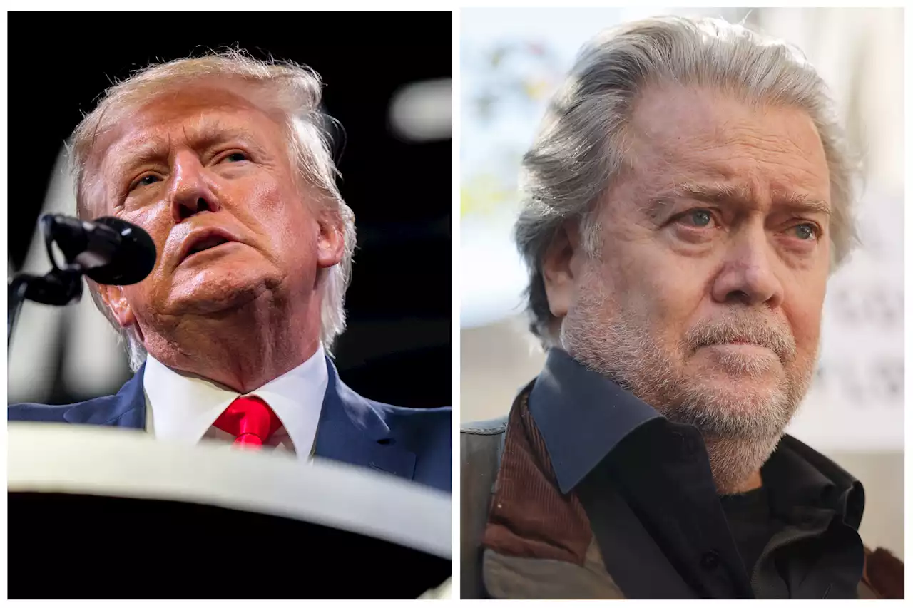 Steve Bannon frustrated with Donald Trump: 'Just not good enough right now'