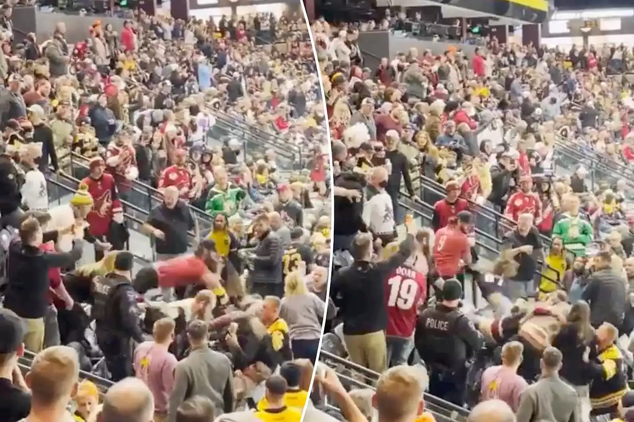 Coyotes, Bruins fans have all-out brawl in wild video