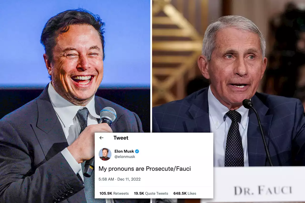 Elon Musk calls for charges against Anthony Fauci in dig at gender pronouns