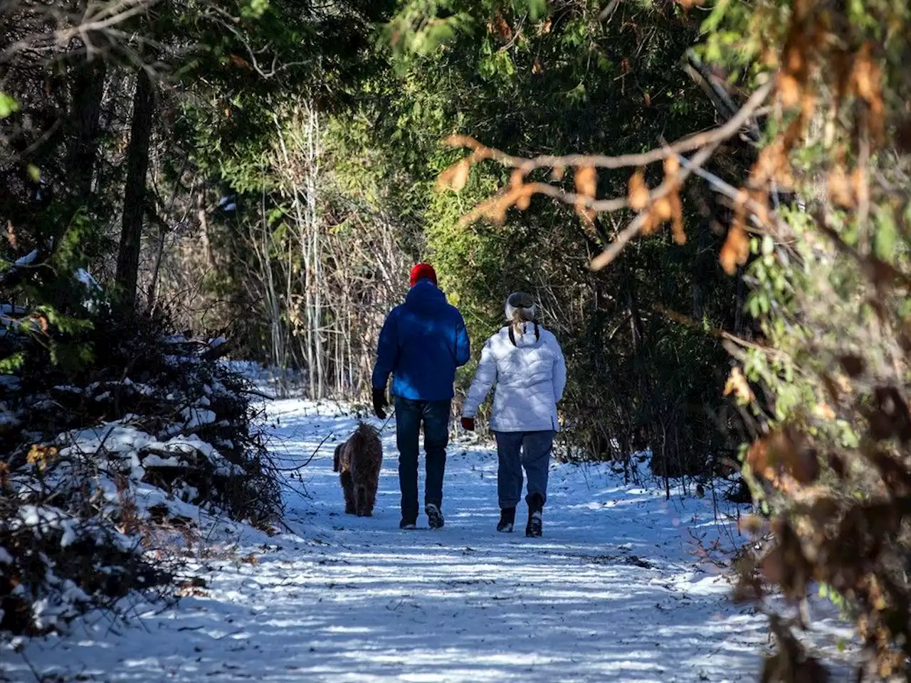 Sunday Weather: After a bright, cold Saturday, snow expected for today