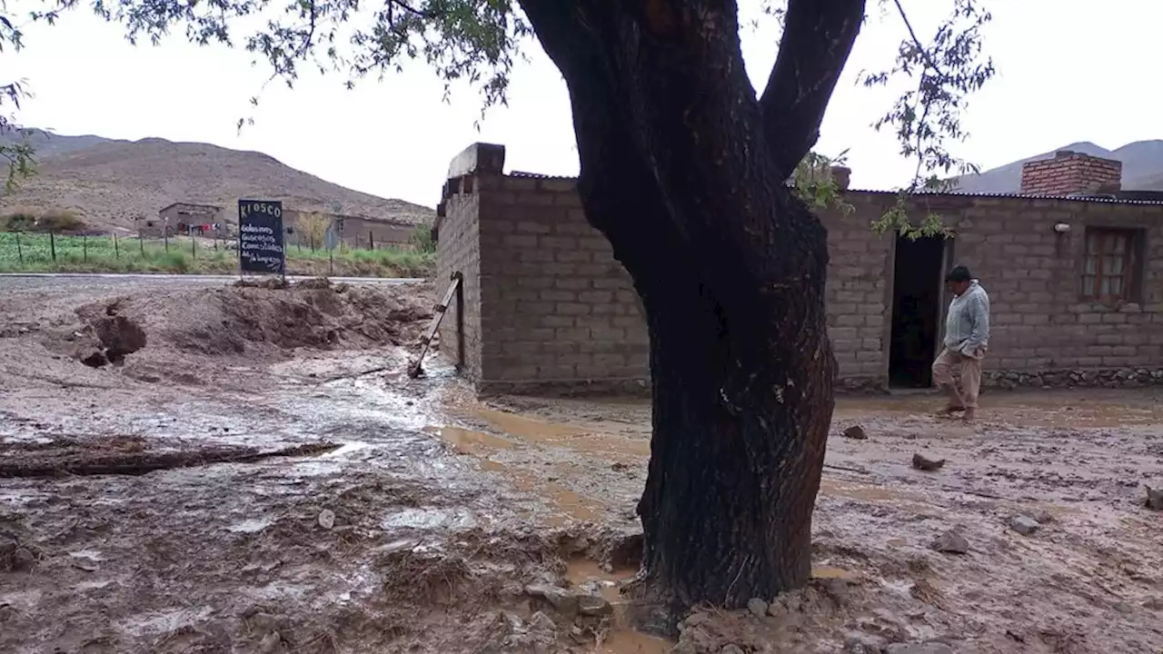 Familias perdieron sus bienes por las crecidas en el paraje Las Cuevas | Vialidad trabaja para habilitar el tránsito en la ruta 51