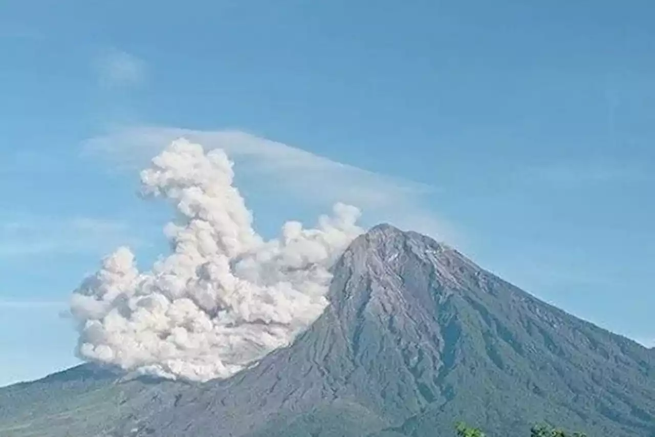 Aktivitas Vulkanik Gunung Semeru Kembali Terjadi, Keluarkan Lava Pijar Sejauh 800 Meter - Pikiran-Rakyat.com