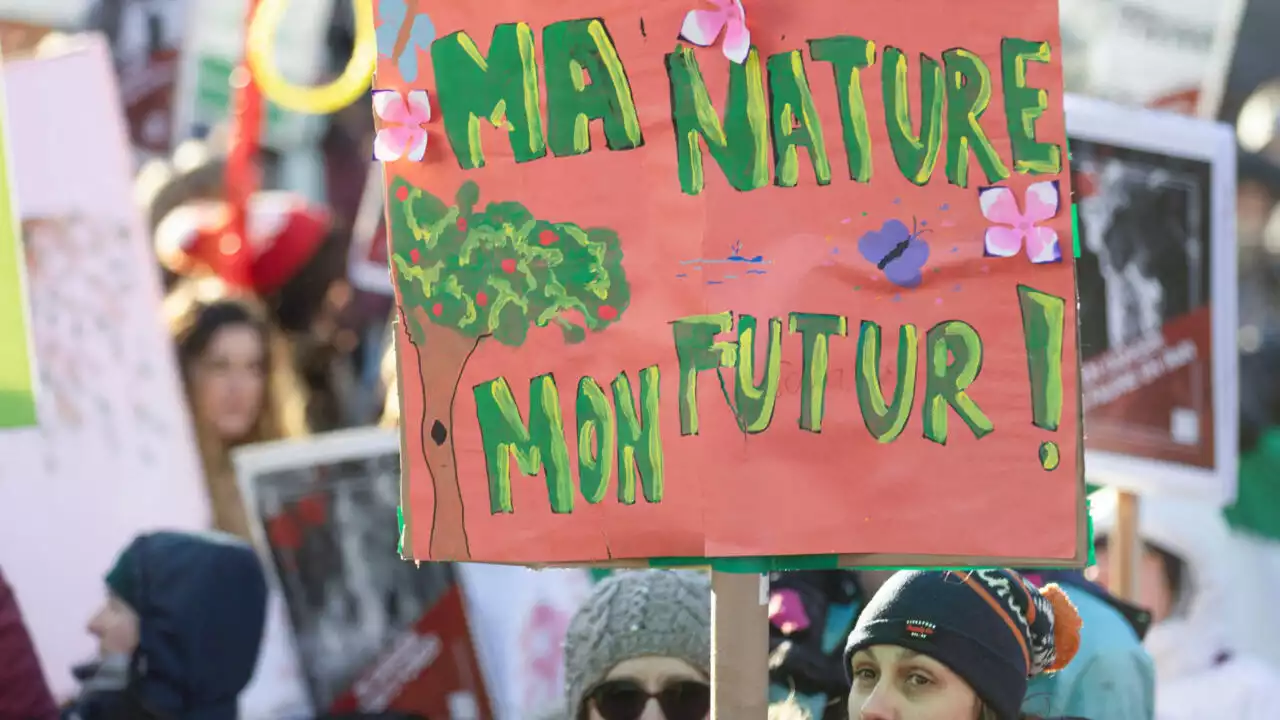 COP15: à Montréal, les manifestants réclament des «actions» pour la biodiversité