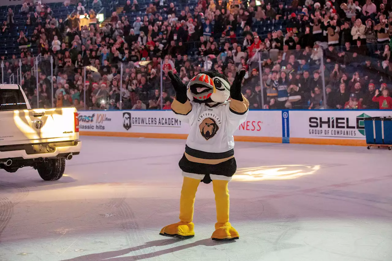 A puffin returns: Buddy the Puffin Jr makes his debut for the Newfoundland Growlers | SaltWire