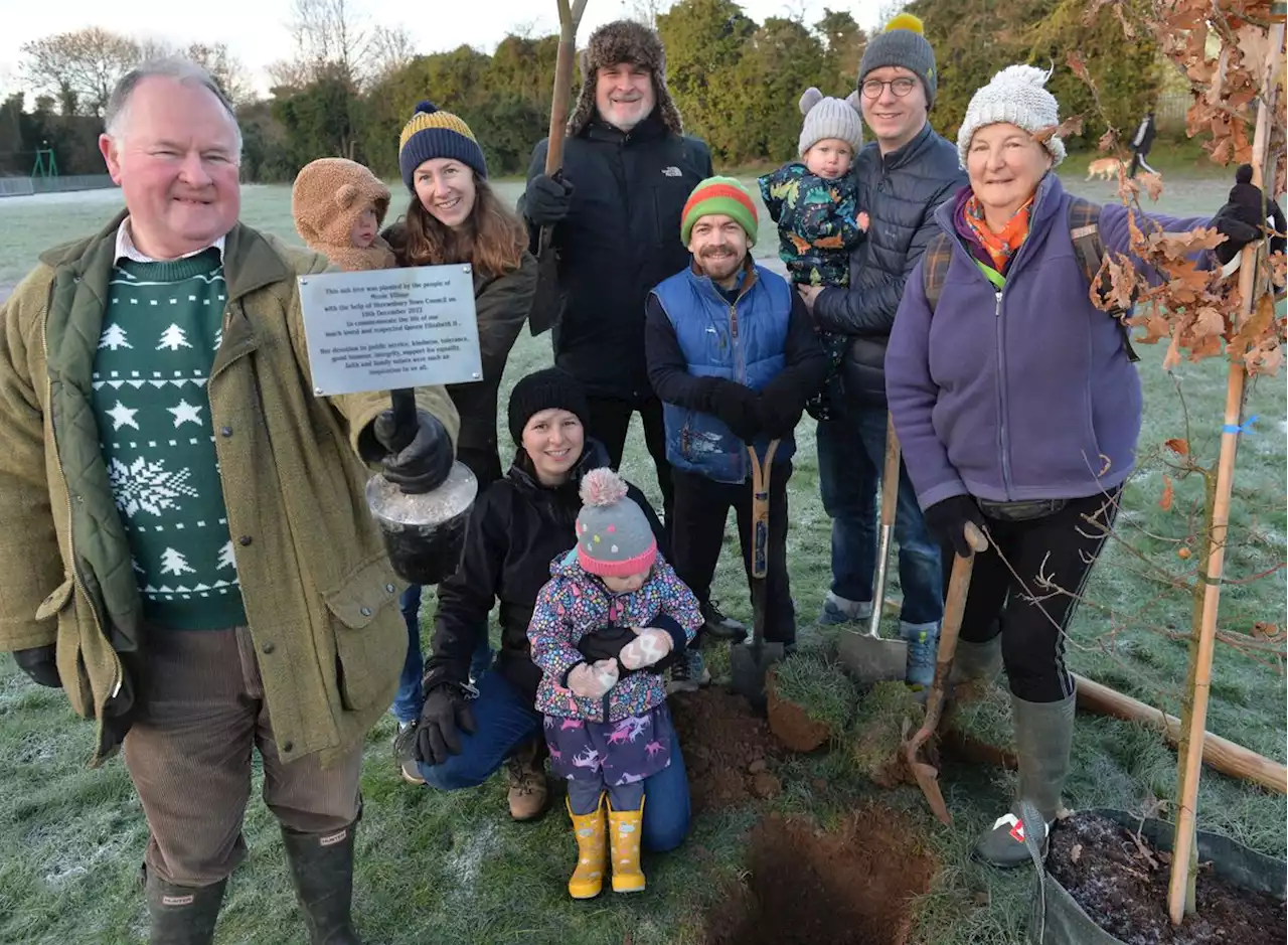 40 people gather in sub-zero temperatures to plant trees on behalf of the late Queen