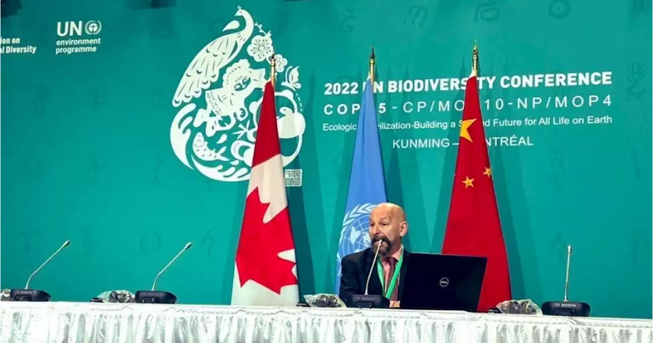 CLAVES de la COP15 sobre biodiversidad: ¿Hacia a dónde apuntan y qué hay para México?