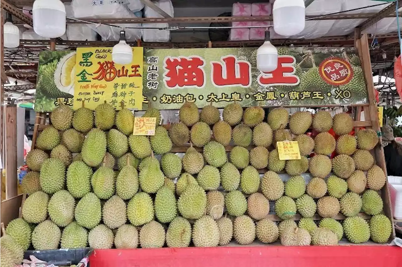 Durian prices fall amid supply spike in Singapore, with sellers saying lower prices may last for weeks