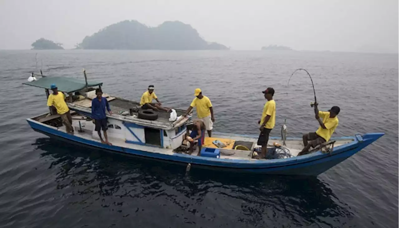 5 Ikan Bertenaga Incaran Para Pemancing Dunia, Ada di Indonesia