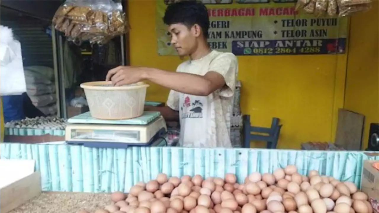 Harga Telur Masih Tinggi, Pedagang: Bisa Sampai Rp 33.000 per Kilogram