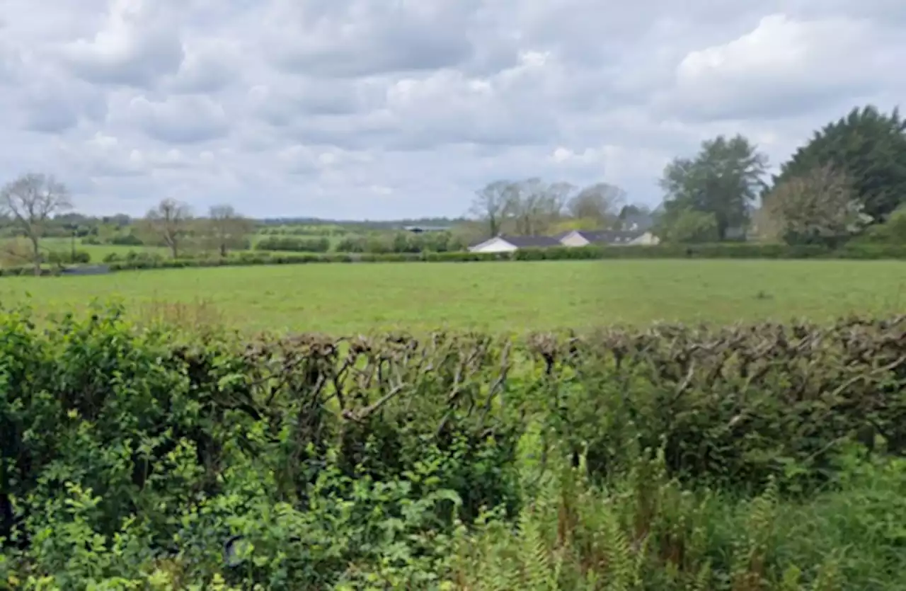 Emergency services attending scene after light helicopter crashes into field in Co Kildare