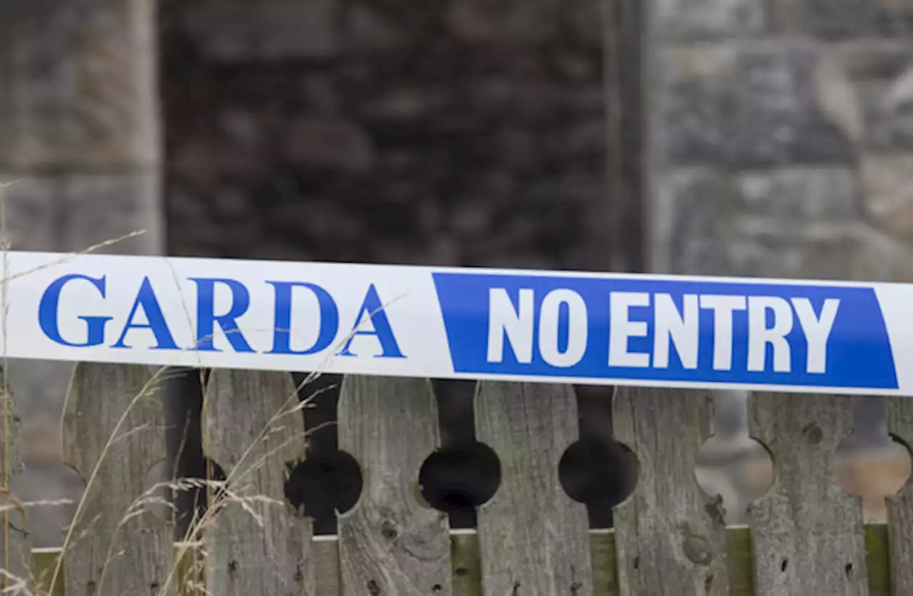 Gardaí appeal for eye-witnesses after body found in unexplained circumstances in Co Meath