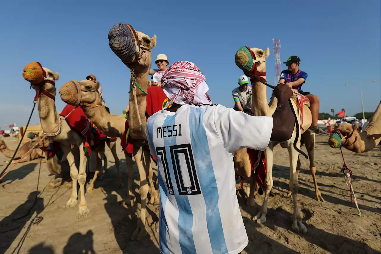 Urgent warning over 'camel flu' as World Cup fans return to England