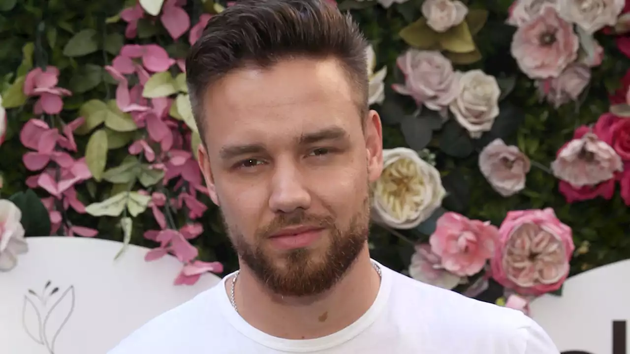 Liam Payne Apologizes for Bombshell Interview Slamming 1D, Saying Band Was Built Around Him