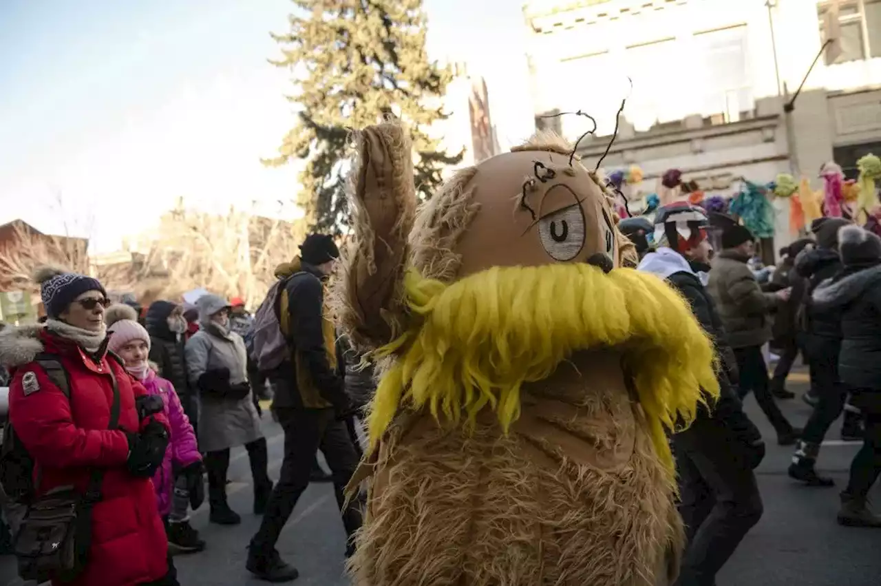 Activists dressed as birds and trees seek robust deal at Montreal summit