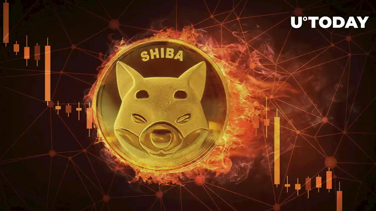 Shiba Inu (SHIB) Burn Rate Flashes 900% Rise, What's Happening?