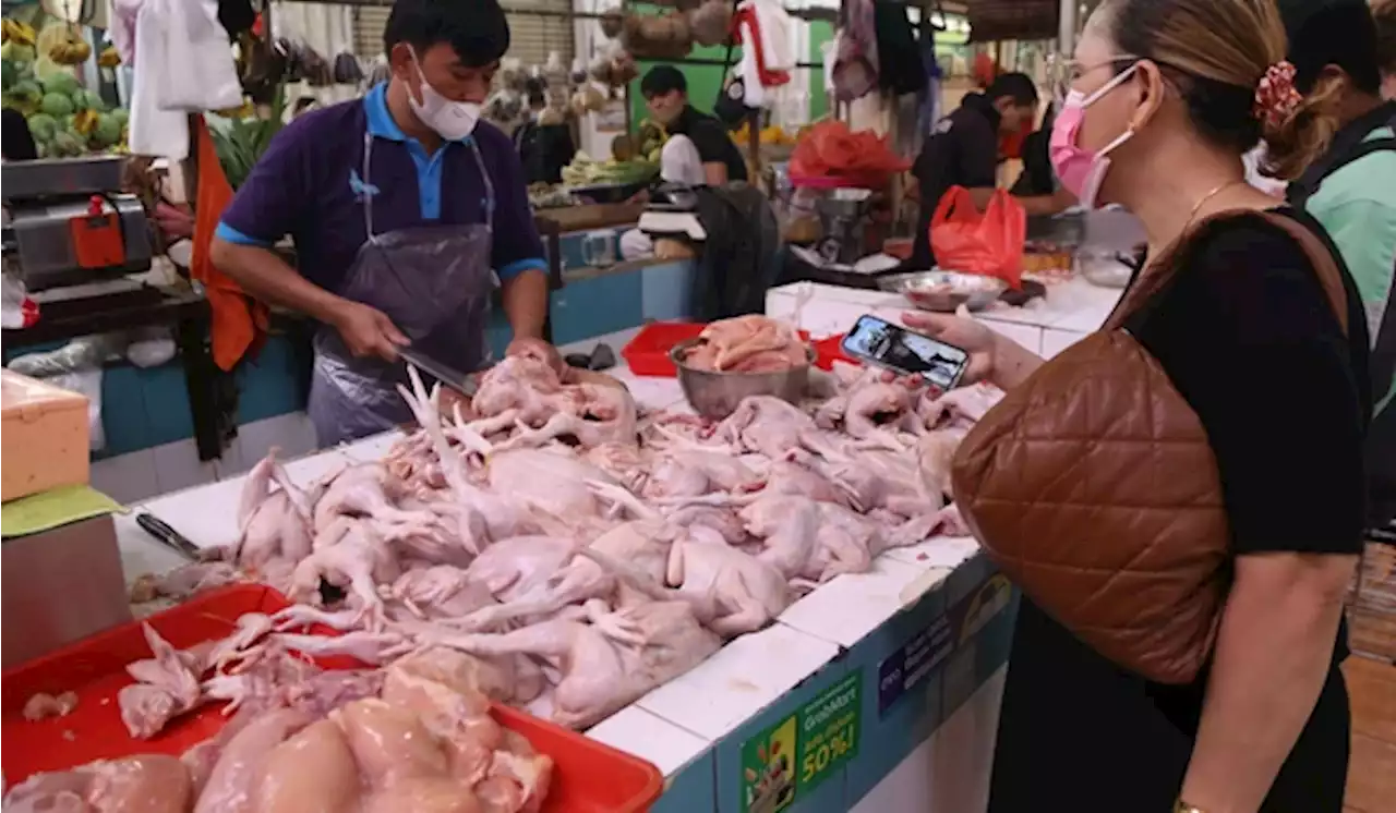 Jelang Nataru, Harga Ayam Potong Melonjak di Bekasi