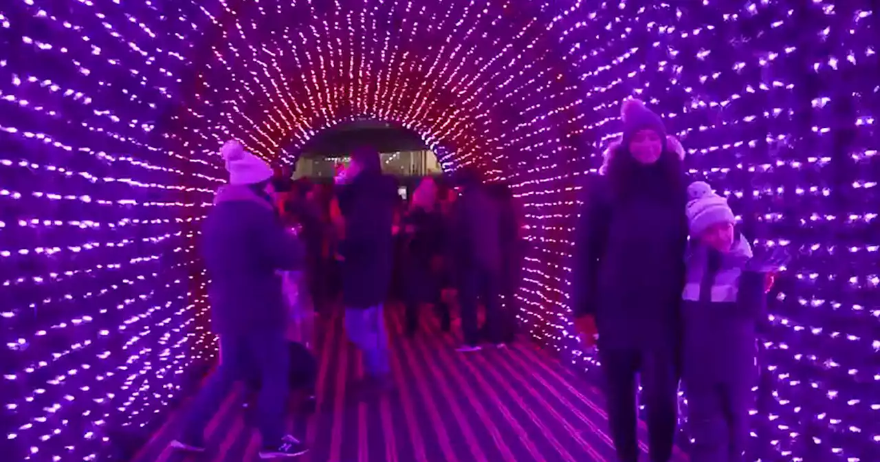 Canada's tallest walk-through LED Christmas tree is now open for free near Toronto
