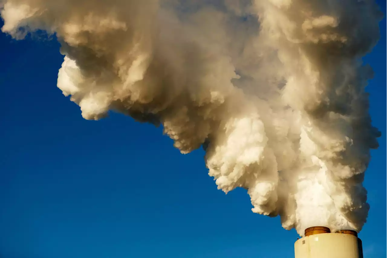 Anti-ESG movement has investment case