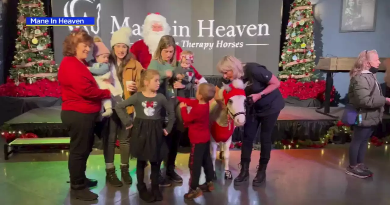 Mini horses from Mane In Heaven visit kids from GiGi's Playhouse in Barrington