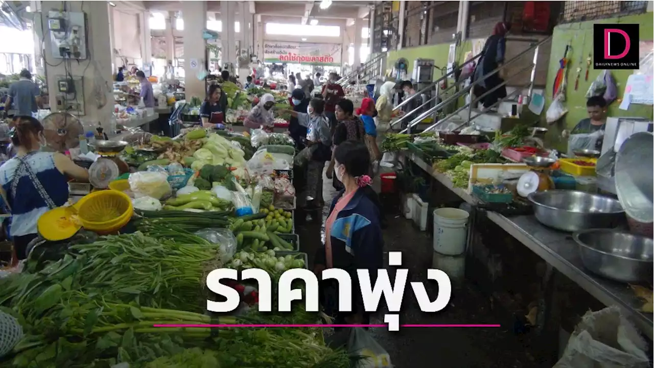 ราคาผักพุ่ง 'ผักชี'กิโลกรัมละ300บาท เผยก่อนปีใหม่แพงอีก2เท่า | เดลินิวส์