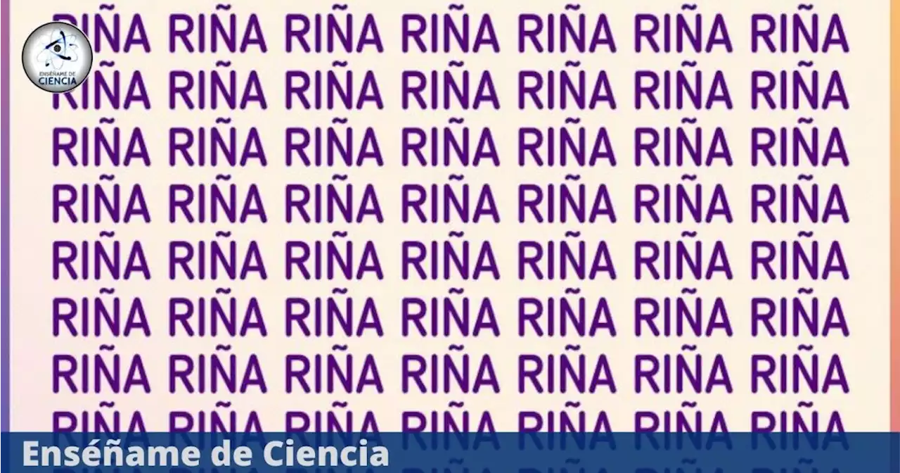 ¿Puedes encontrar la palabra “NIÑA” en la imagen? Resuelve el acertijo visual en tiempo récord