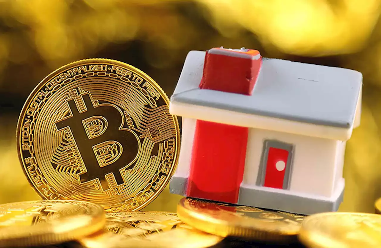 Don’t just follow trends: GenZ, altcoins, cryptocurrencies and what not to trust - IT News Africa - Up to date technology news, IT news, Digital news, Telecom news, Mobile news, Gadgets news, Analysis and Reports