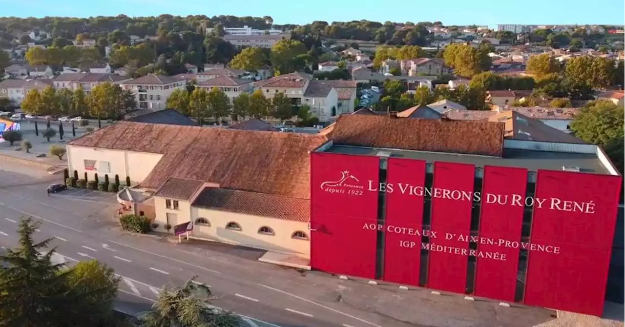 Aix : le vignoble du Roy René, 100 ans d'héritage vinicole