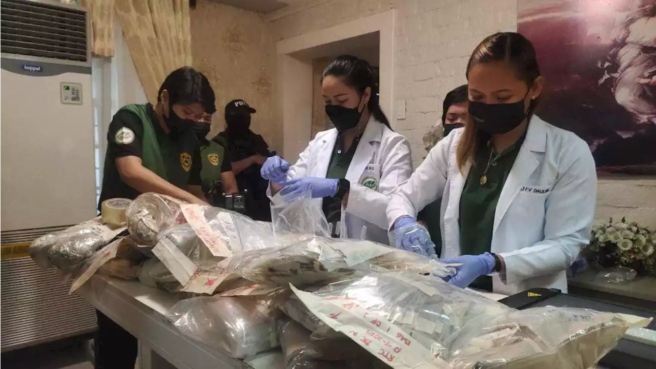 P83-M seized illegal drugs destroyed in Cebu City